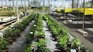 Les différentes stations du réseau Astredhor organisent leurs journées portes ouvertes à partir de septembre. ©L. Hespel